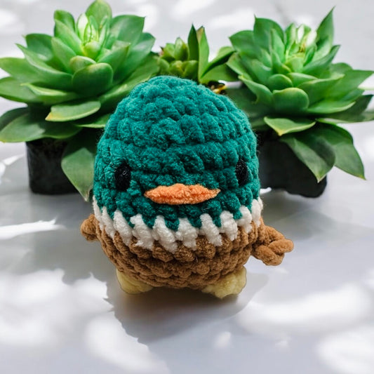 Mallard Duck
